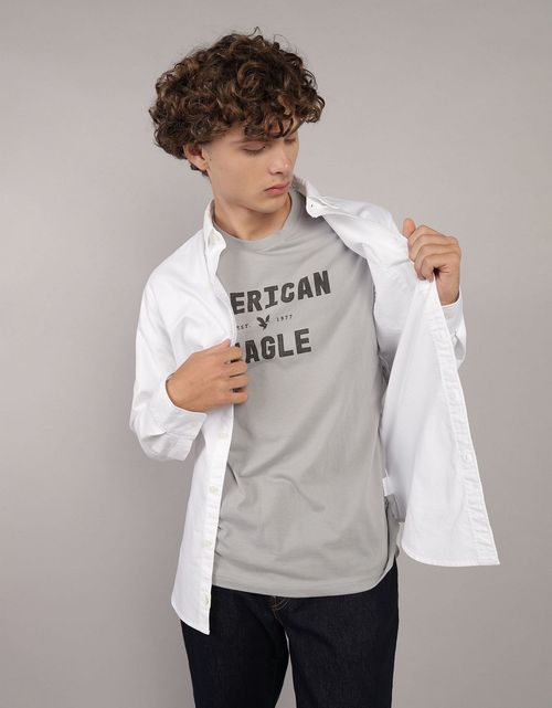 Camisa Oxford Slim Fit Ae