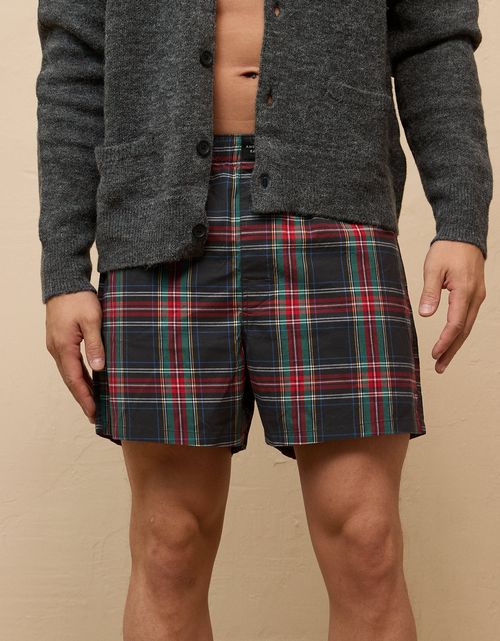 Bóxer de Cuadros Hombre AE