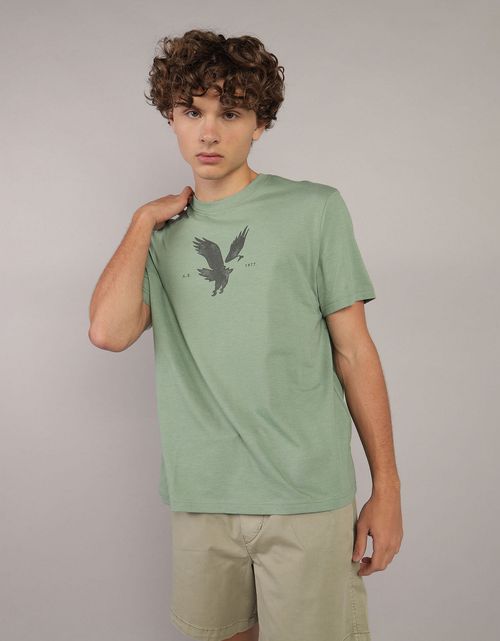 Camiseta manga corta con gráfico de hombre AE