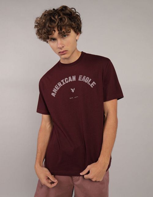 Camiseta manga corta con gráfico de hombre AE