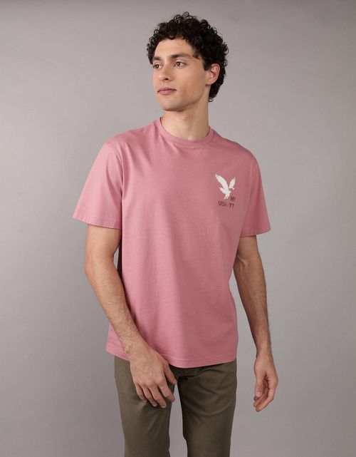 Camiseta gráfica con logotipo aplicado de AE